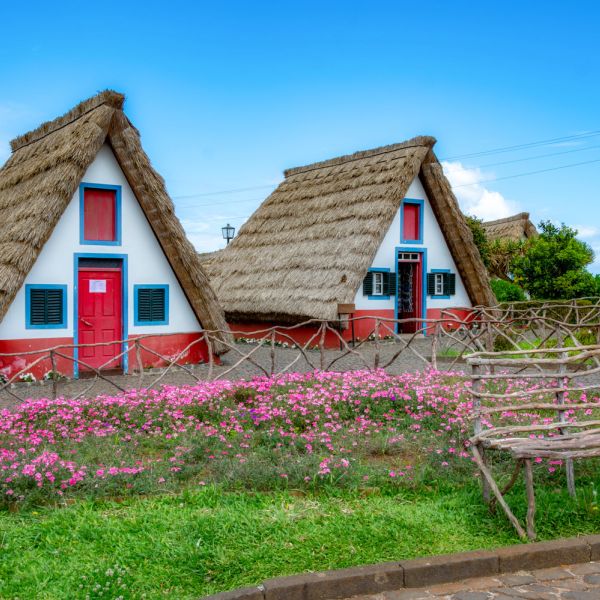 Bom fim de semana 🌺🥰

#fimdesemana #setembro #madeira #island #portugal #webdesign #navegabemwebdesign